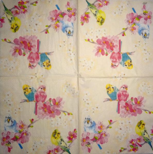 019 Parrot - 3-ply - Ihr